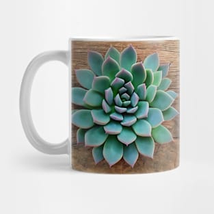 Succulent plant Mug